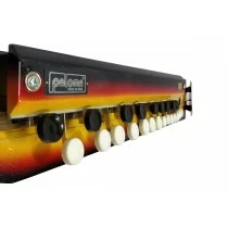 Bulbul Tarang (Sunburst)